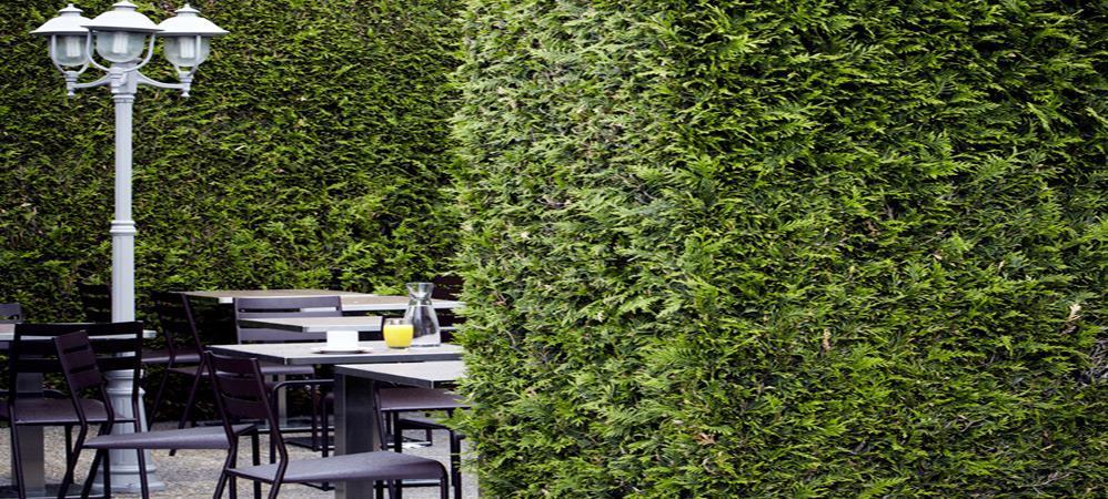 Hotel Campanile Grenoble Nord - Saint-Egreve Restaurant foto